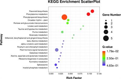 Brassinosteroids induced drought resistance of contrasting drought-responsive genotypes of maize at physiological and transcriptomic levels